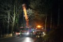 Container LKW umgestuerzt Koeln Brueck Bruecker- Dellbruecker Mauspfad P565